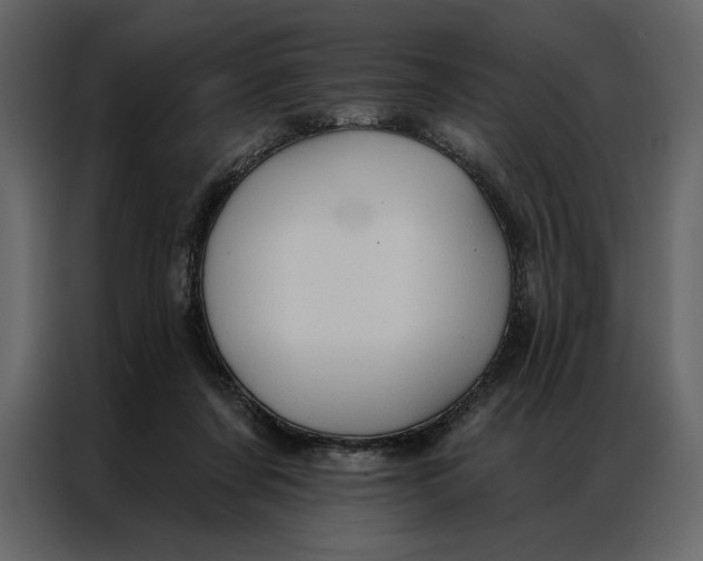 X0000086900311200705071249