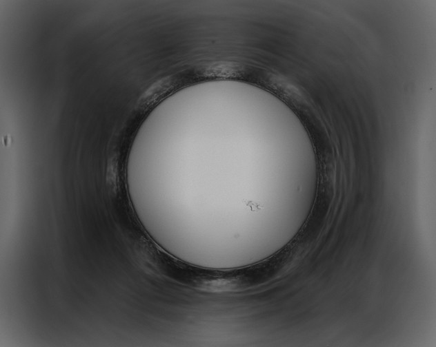 X0000086900312200705071249