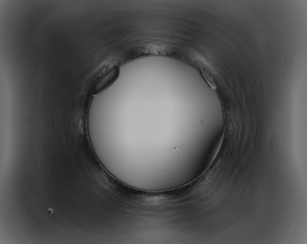 X0000086900313200705071249