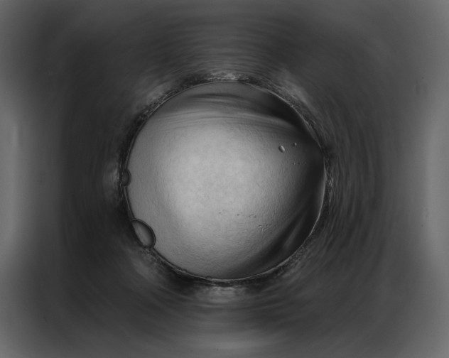 X0000086900314200705071249