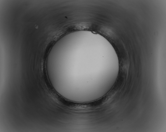 X0000086900315200705071249