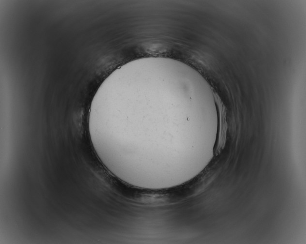 X0000086900319200705071249