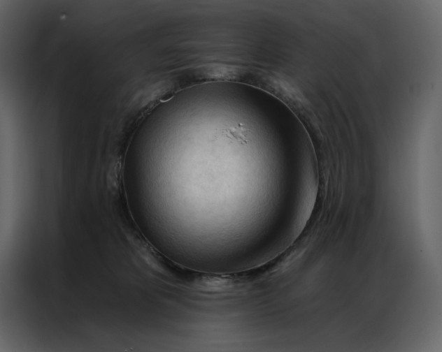 X0000086900325200705071248