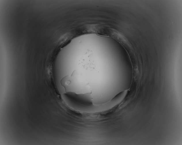 X0000086900329200705071248