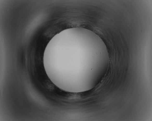 X0000086900335200705071248