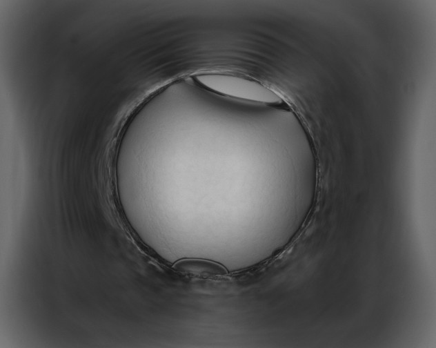 X0000086900337200705071248