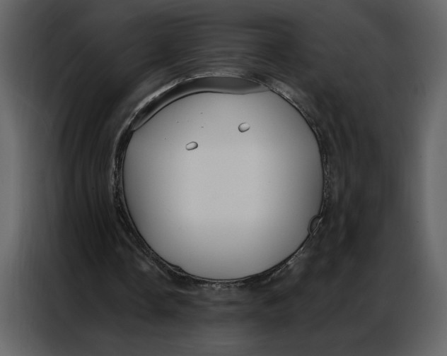 X0000086900338200705071248