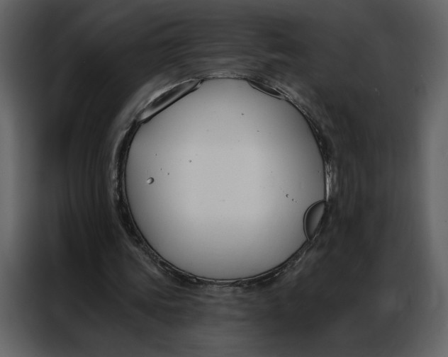 X0000086900339200705071248