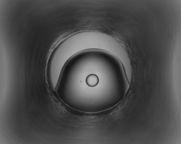 X0000086900340200705071248