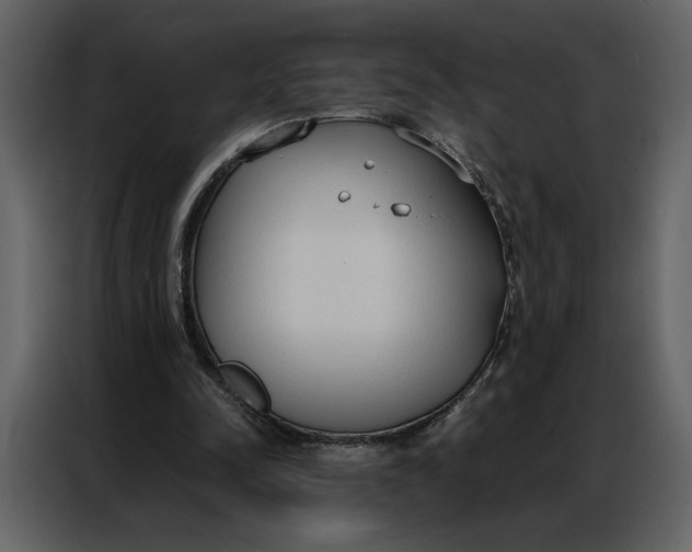 X0000086900342200705071248