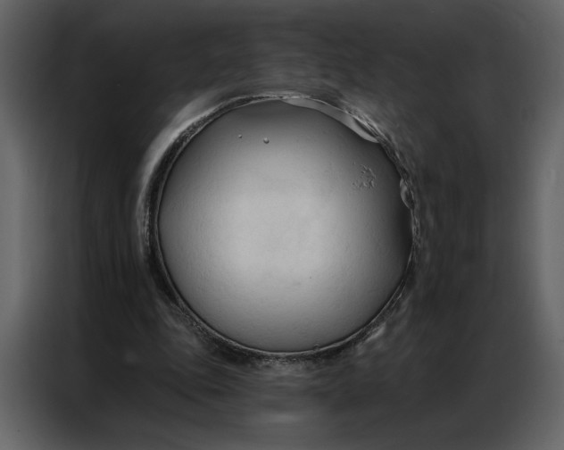 X0000086900343200705071248