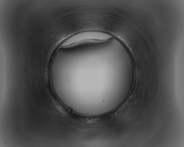 X0000086900345200705071248