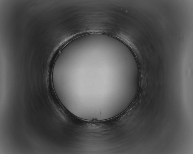 X0000086900346200705071248