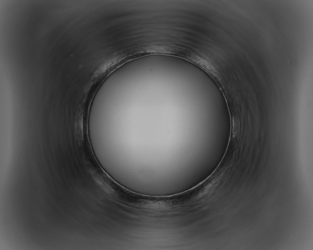 X0000086900349200705071248