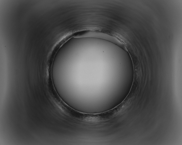 X0000086900350200705071248