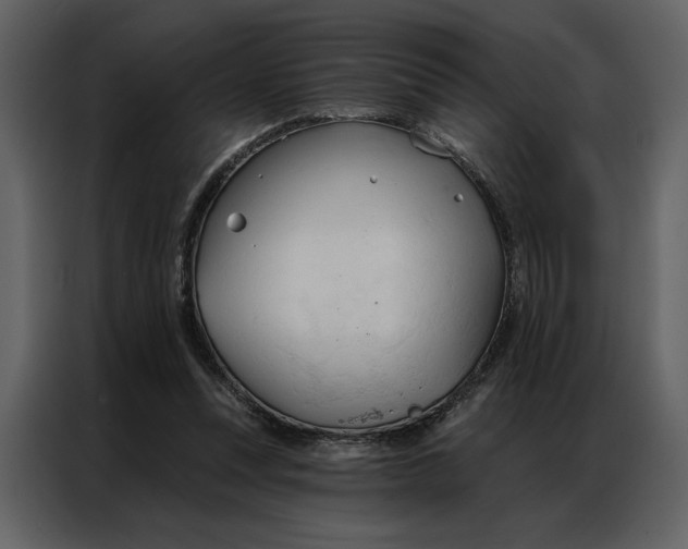 X0000086900351200705071248