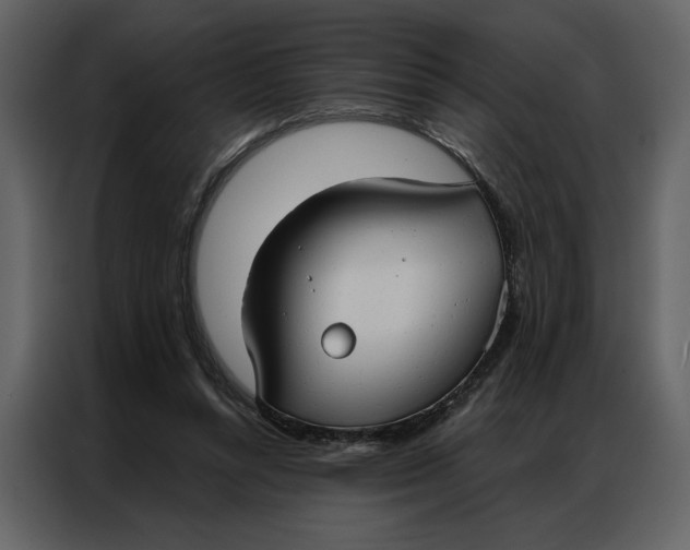 X0000086900352200705071248