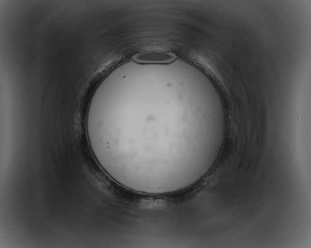 X0000086900354200705071248