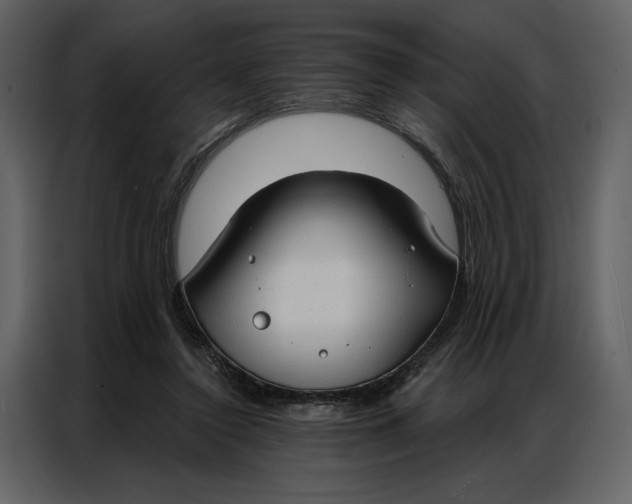 X0000086900356200705071248