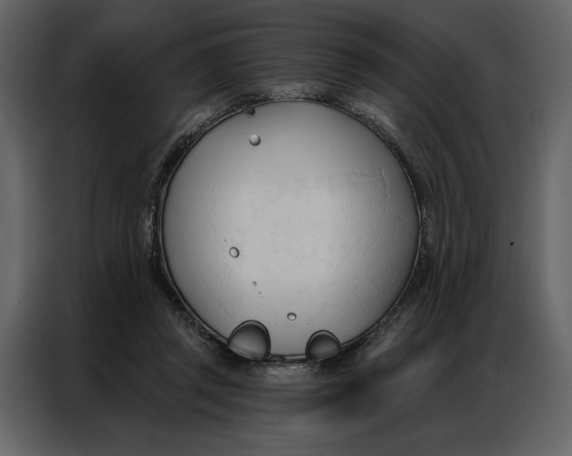 X0000086900357200705071248