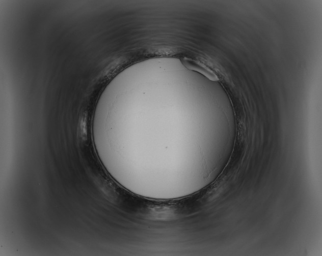 X0000086900358200705071248