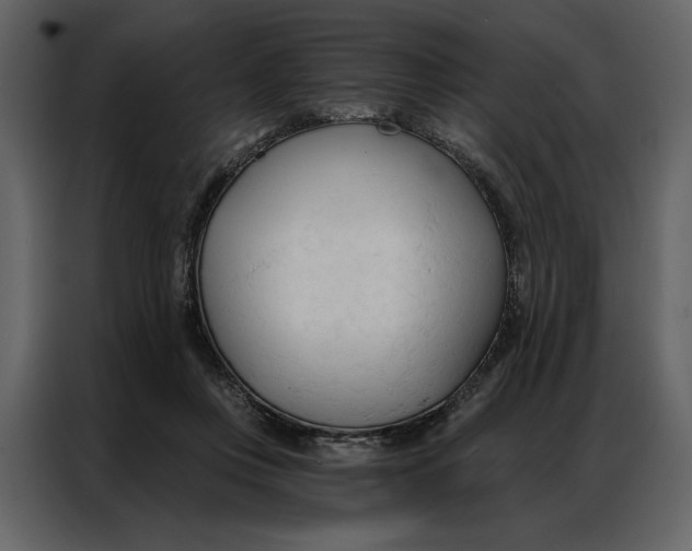 X0000086900359200705071248