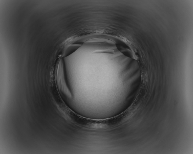 X0000086900360200705071248