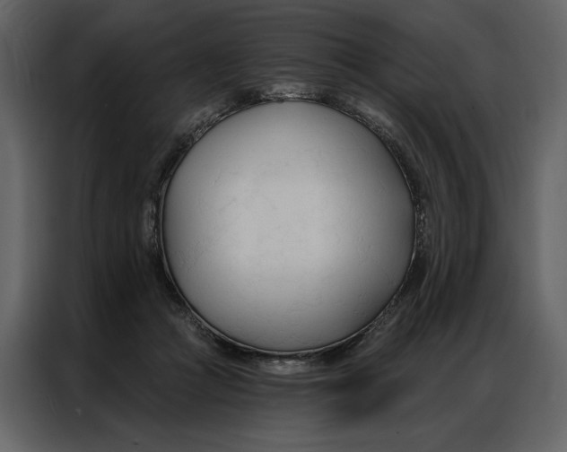 X0000086900361200705071248