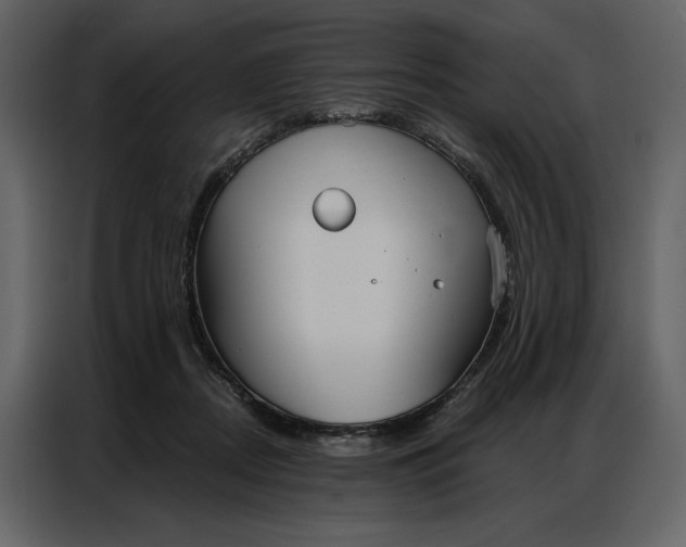 X0000086900362200705071248