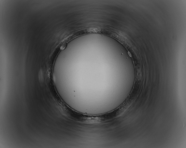 X0000086900363200705071248