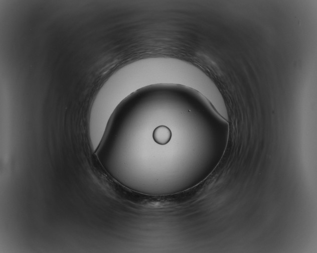 X0000086900364200705071248