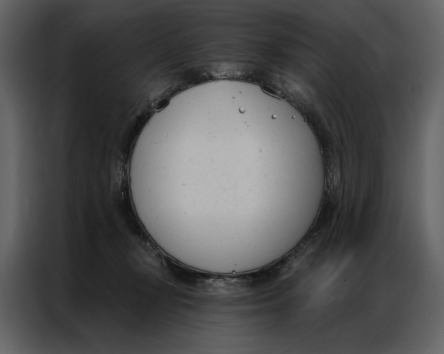 X0000086900367200705071248