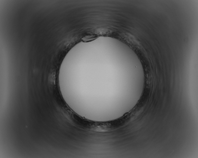 X0000086900368200705071248