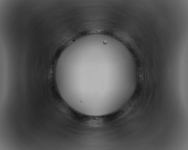 X0000086900369200705071248