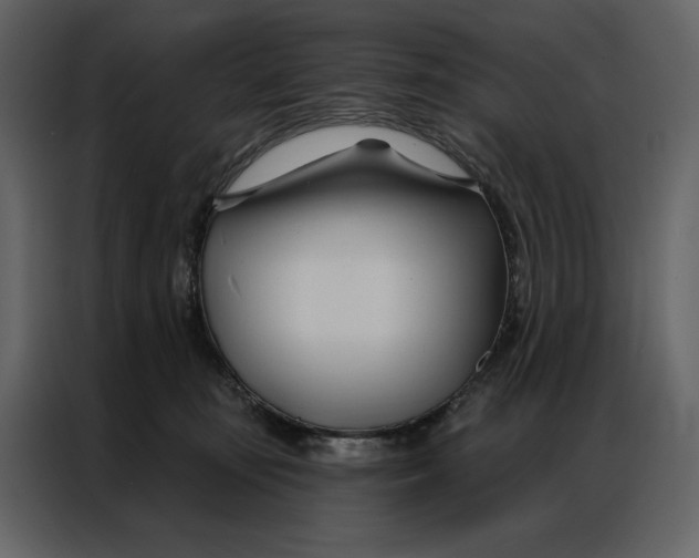 X0000086900371200705071248