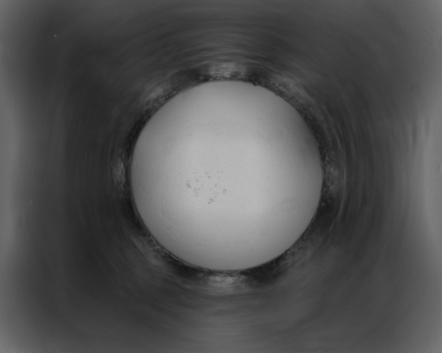 X0000086900375200705071248