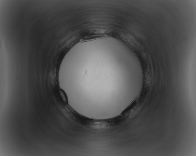 X0000086900376200705071248