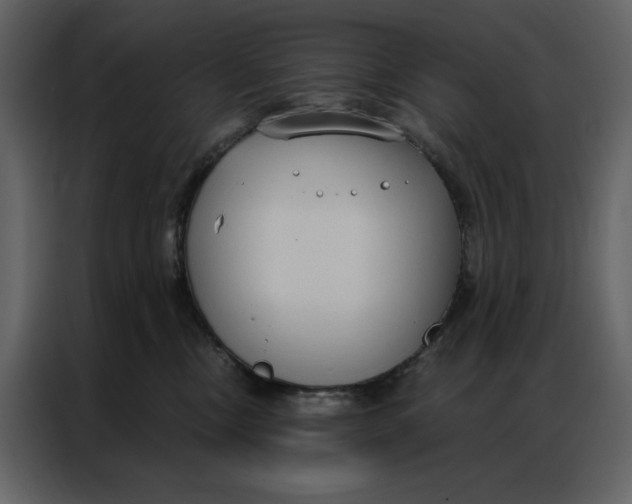 X0000086900378200705071248