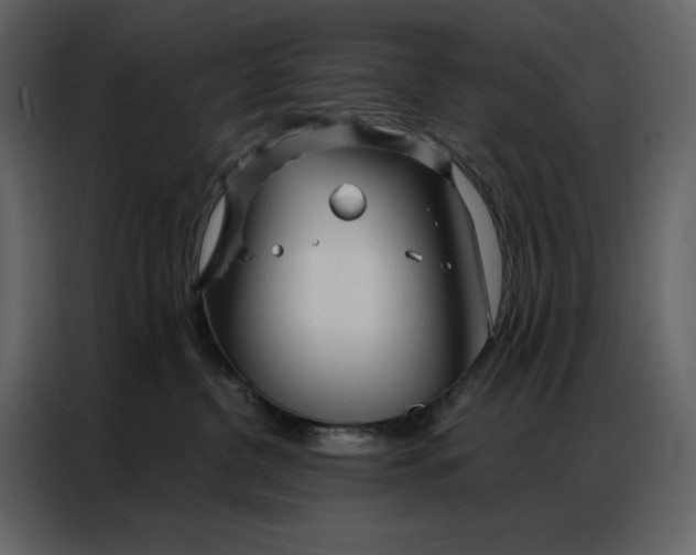 X0000086900380200705071248