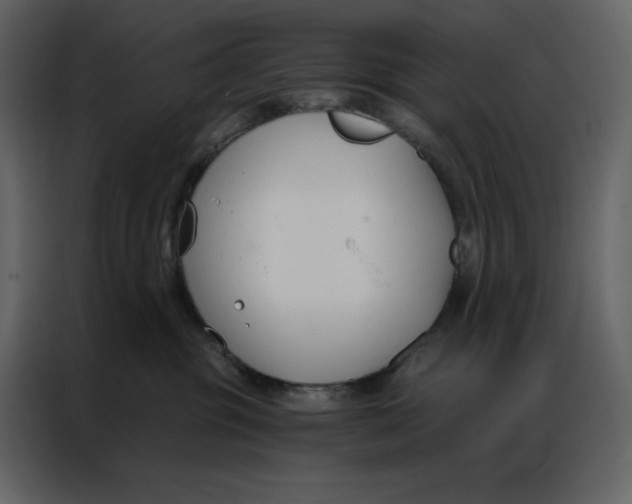 X0000086900381200705071248