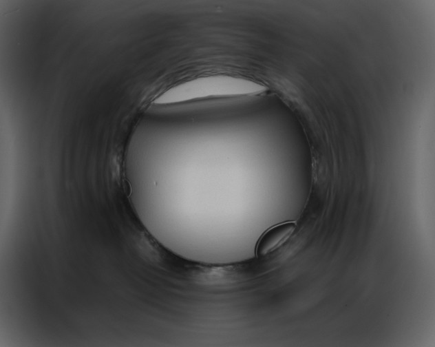 X0000086900382200705071248