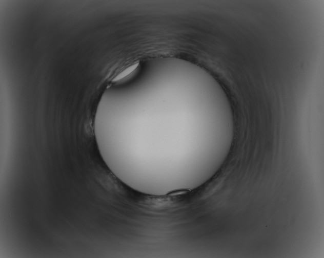 X0000086900384200705071248