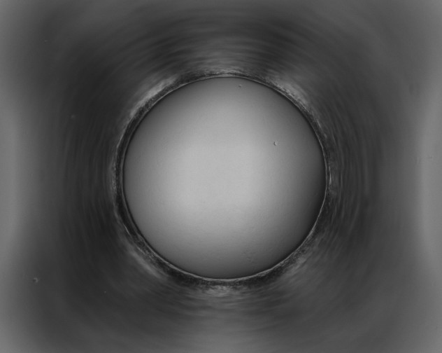 X0000086900390200705071248