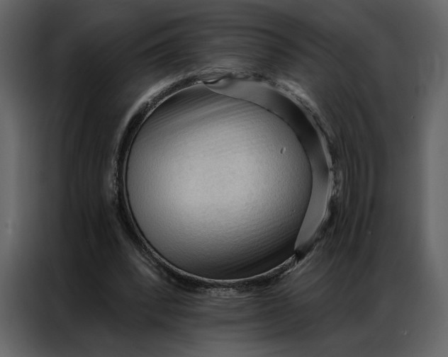 X0000086900392200705071248