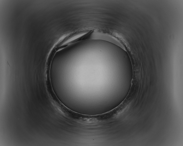 X0000086900395200705071248