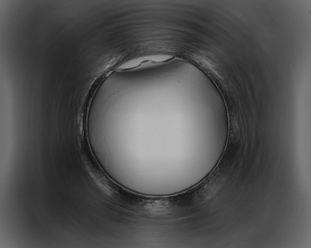 X0000086900398200705071248