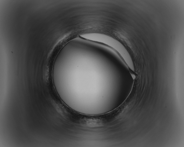 X0000086900400200705071247