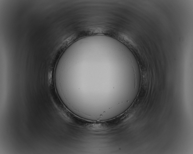 X0000086900406200705071247