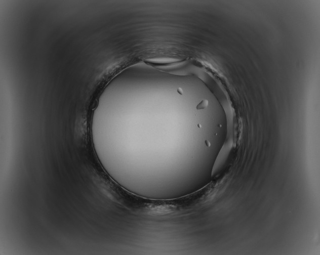 X0000086900407200705071247