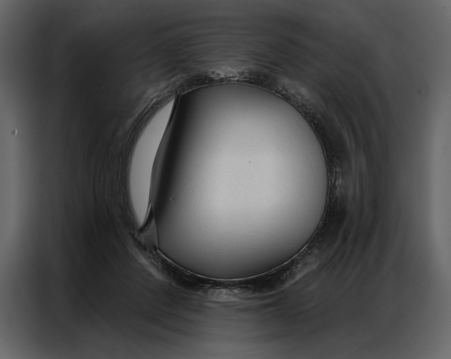 X0000086900408200705071247